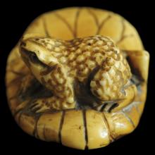 Netsuke en ivoire, grenouille